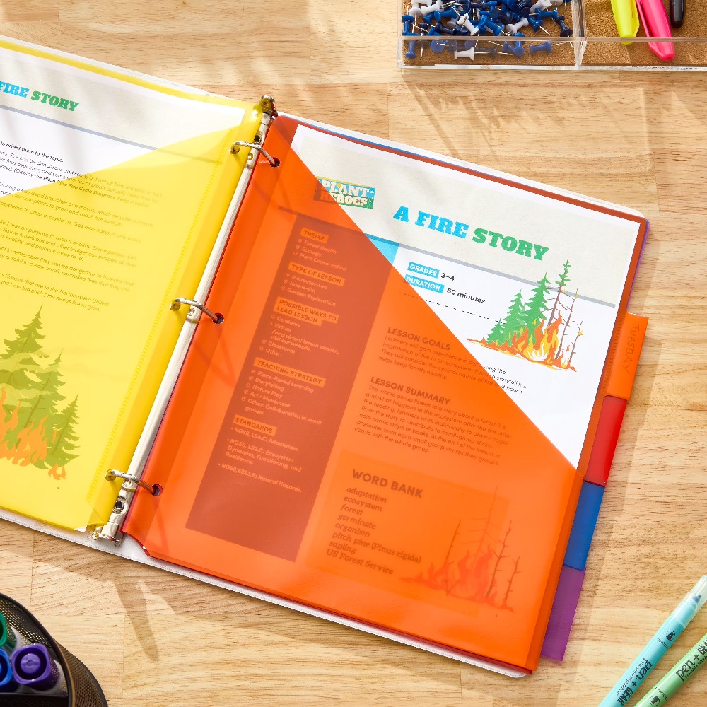 Vibrant Color Index Tab Divide - Tab Divider A4 recensie en prijs