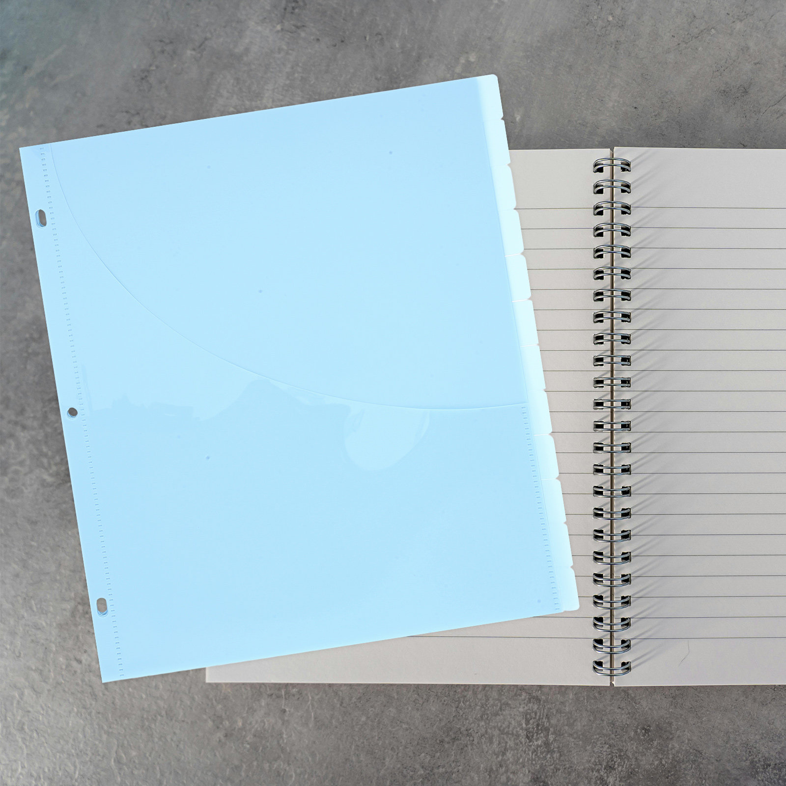 12Pcs Binder Dividers A4 Size  - Tab Divider A4 recensie en prijs